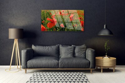Quadro de vidro Papoulas Plantam Natureza
