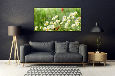 Quadro de vidro Natureza da planta margarida