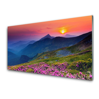 Quadro de vidro Montanhas Prado Flores Paisagem