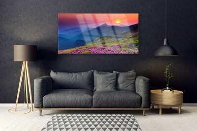 Quadro de vidro Montanhas Prado Flores Paisagem