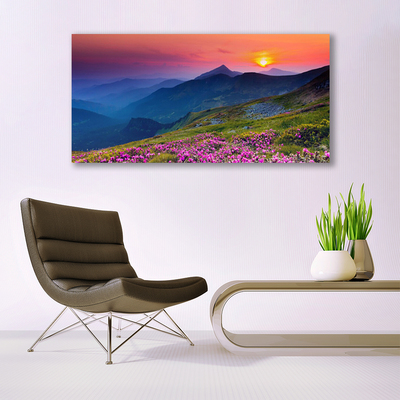 Quadro de vidro Montanhas Prado Flores Paisagem
