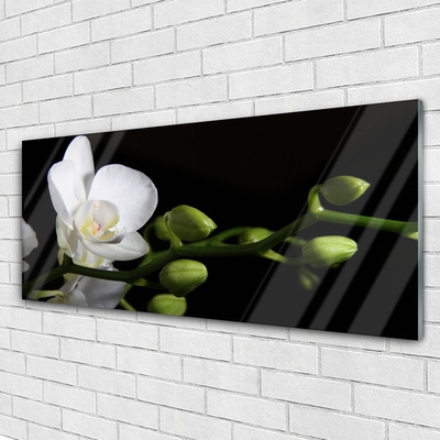Quadro de vidro Flor Planta Natureza