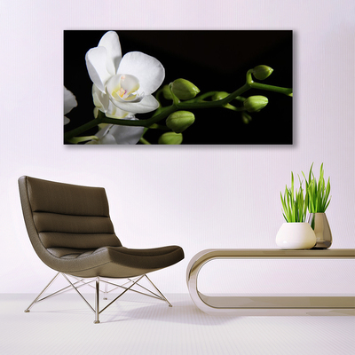 Quadro de vidro Flor Planta Natureza