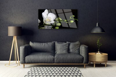 Quadro de vidro Flor Planta Natureza