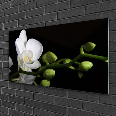 Quadro de vidro Flor Planta Natureza