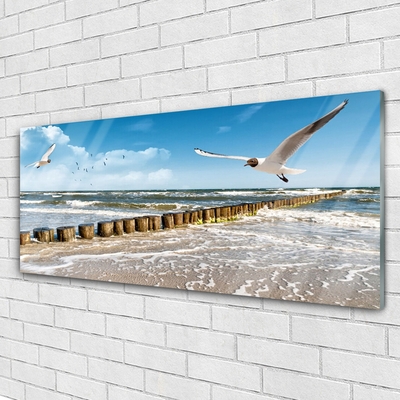 Quadro de vidro Paisagem marinha de gaivotas