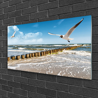 Quadro de vidro Paisagem marinha de gaivotas
