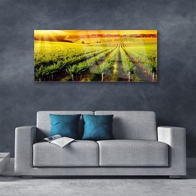 Quadro de vidro Natureza do Campo