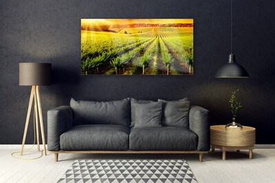 Quadro de vidro Natureza do Campo