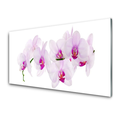 Quadro de vidro Flores Planta Natureza