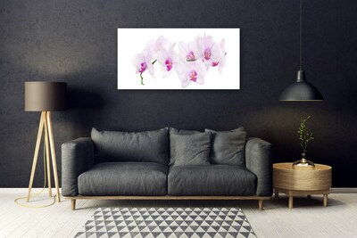 Quadro de vidro Flores Planta Natureza