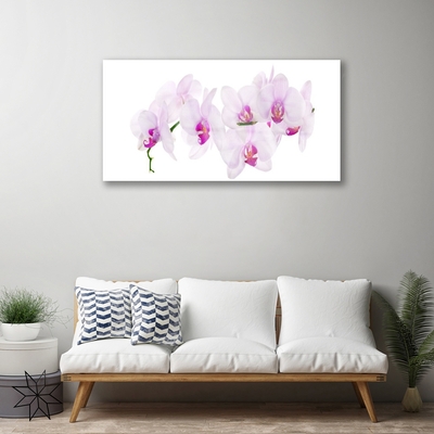 Quadro de vidro Flores Planta Natureza
