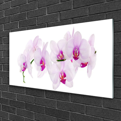 Quadro de vidro Flores Planta Natureza