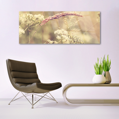 Quadro de vidro Plantas Selvagens Natureza