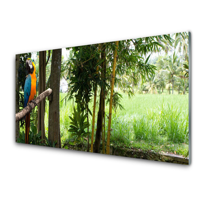 Quadro de vidro Árvores Papagaio Natureza