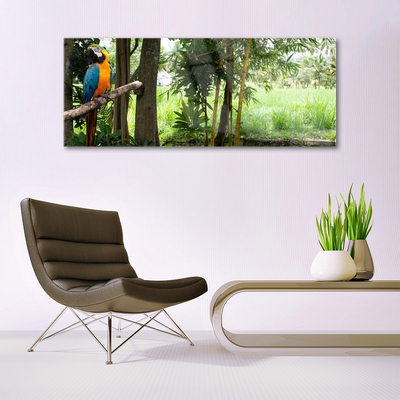 Quadro de vidro Árvores Papagaio Natureza