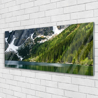 Quadro de vidro Paisagem de montanhas e florestas de lagos
