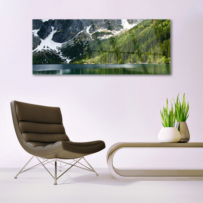 Quadro de vidro Paisagem de montanhas e florestas de lagos
