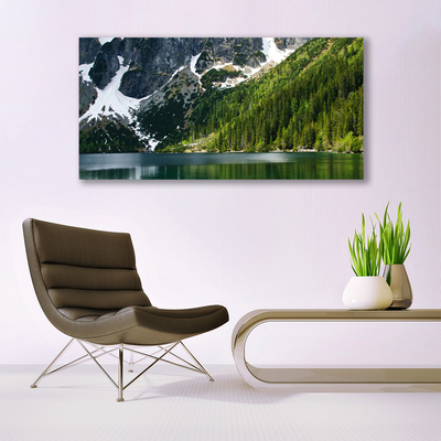 Quadro de vidro Paisagem de montanhas e florestas de lagos
