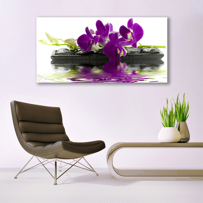 Quadro de vidro Flores Planta Natureza