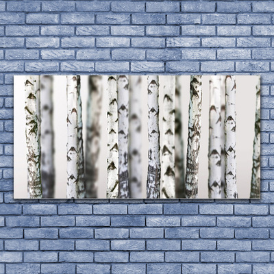 Quadro de vidro Árvores Natureza