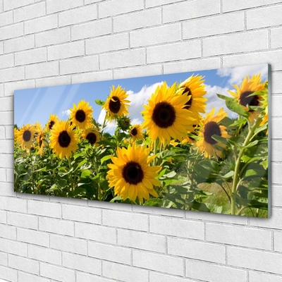 Quadro de vidro Planta de flor de girassol