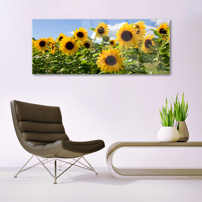 Quadro de vidro Planta de flor de girassol