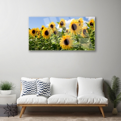 Quadro de vidro Planta de flor de girassol