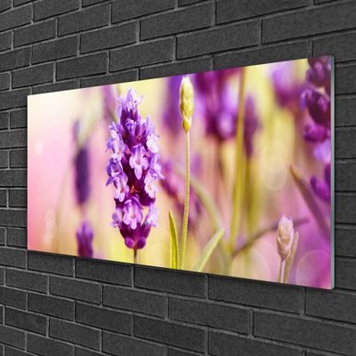 Pintura em vidro Flores Planta Natureza