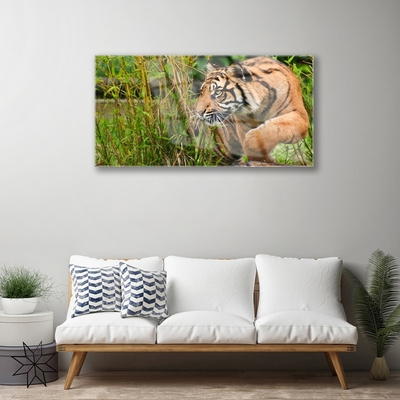 Pintura em vidro Animais Tigres