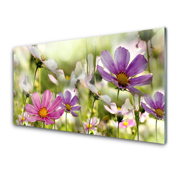 Quadro de vidro Flores Planta Natureza