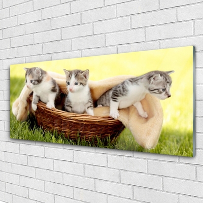 Pintura em vidro Gatos Animais