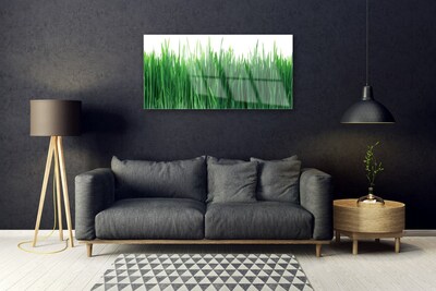 Pintura em vidro Grama Natureza Planta