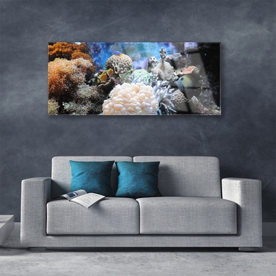 Pintura em vidro Natureza dos recifes de corais