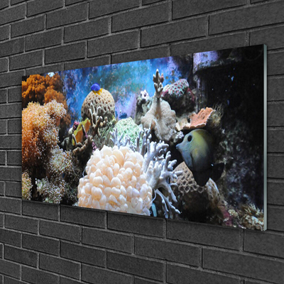 Pintura em vidro Natureza dos recifes de corais