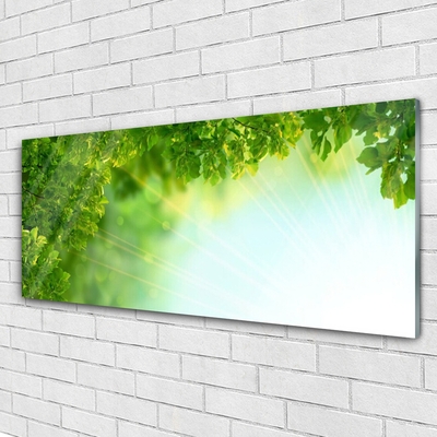 Quadro de vidro Folhas Natureza Planta