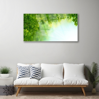 Quadro de vidro Folhas Natureza Planta