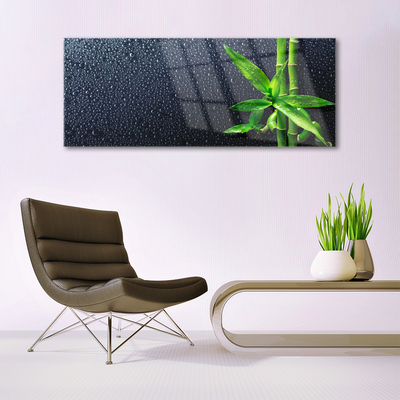 Quadro de vidro Caule de bambu planta natureza