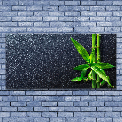 Quadro de vidro Caule de bambu planta natureza