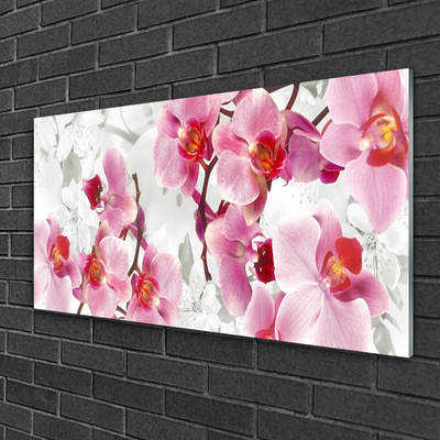 Quadro de vidro Flores Planta Natureza