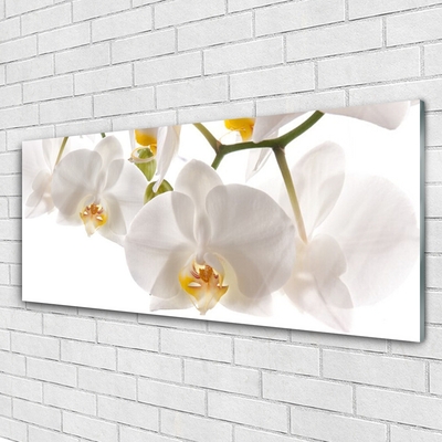 Quadro de vidro Flores Planta Natureza