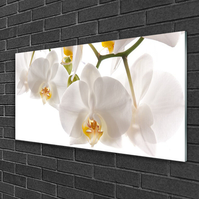 Quadro de vidro Flores Planta Natureza