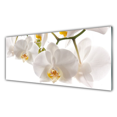 Quadro de vidro Flores Planta Natureza