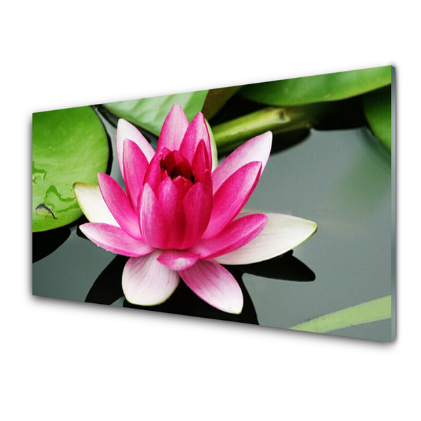Quadro de vidro Flor Planta Natureza