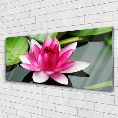 Quadro de vidro Flor Planta Natureza