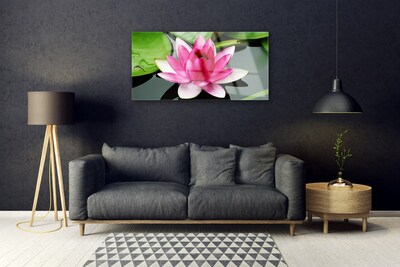 Quadro de vidro Flor Planta Natureza