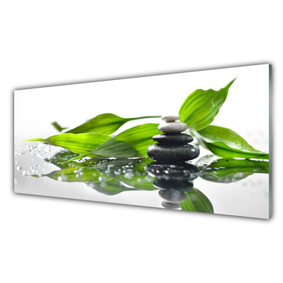 Quadro de vidro Arte com Folhas e Pedras