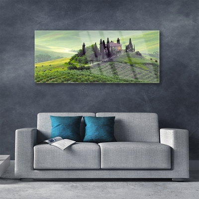 Quadro de vidro Árvores do Prado Natureza