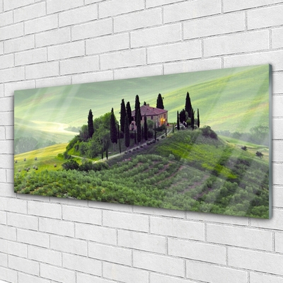 Quadro de vidro Árvores do Prado Natureza