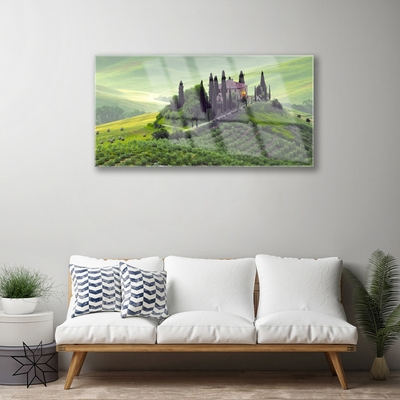 Quadro de vidro Árvores do Prado Natureza